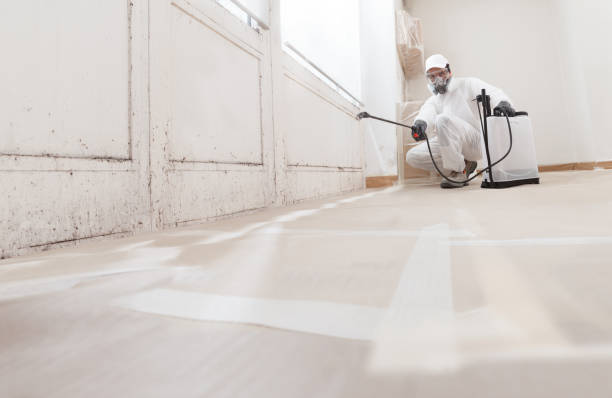 24/7 Emergency Attic Mold Removal experts in Plainsboro, NJ